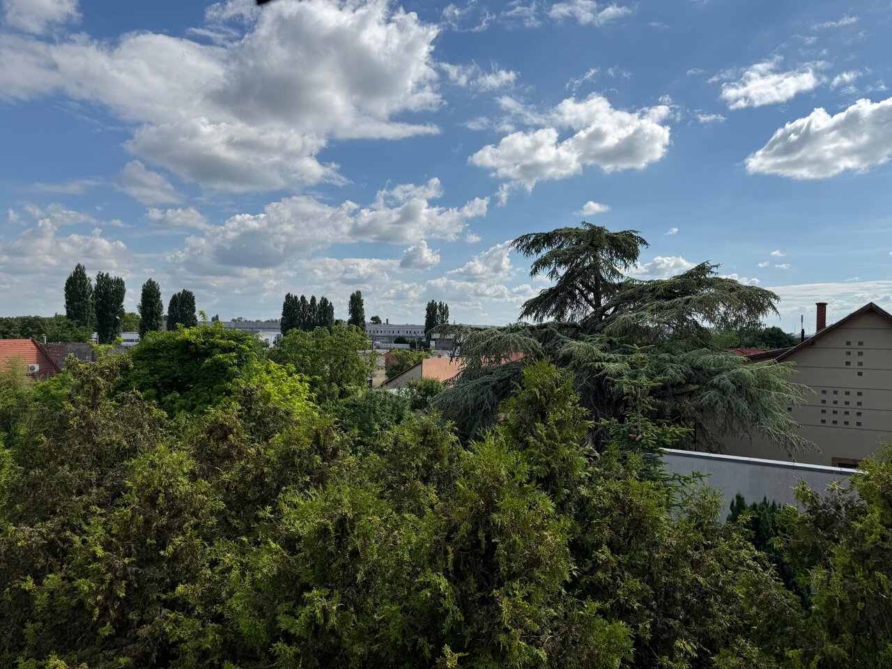 Zöldövezeti panoráma az ingatlanból
